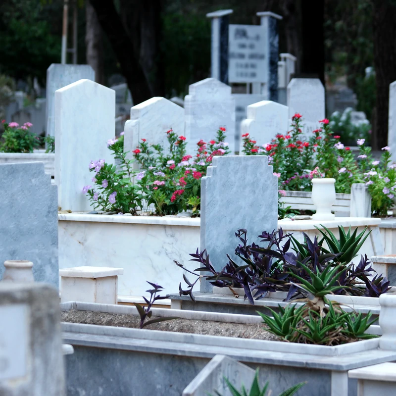 Inscriptionari, gravuri, poze ceramice, restaurari